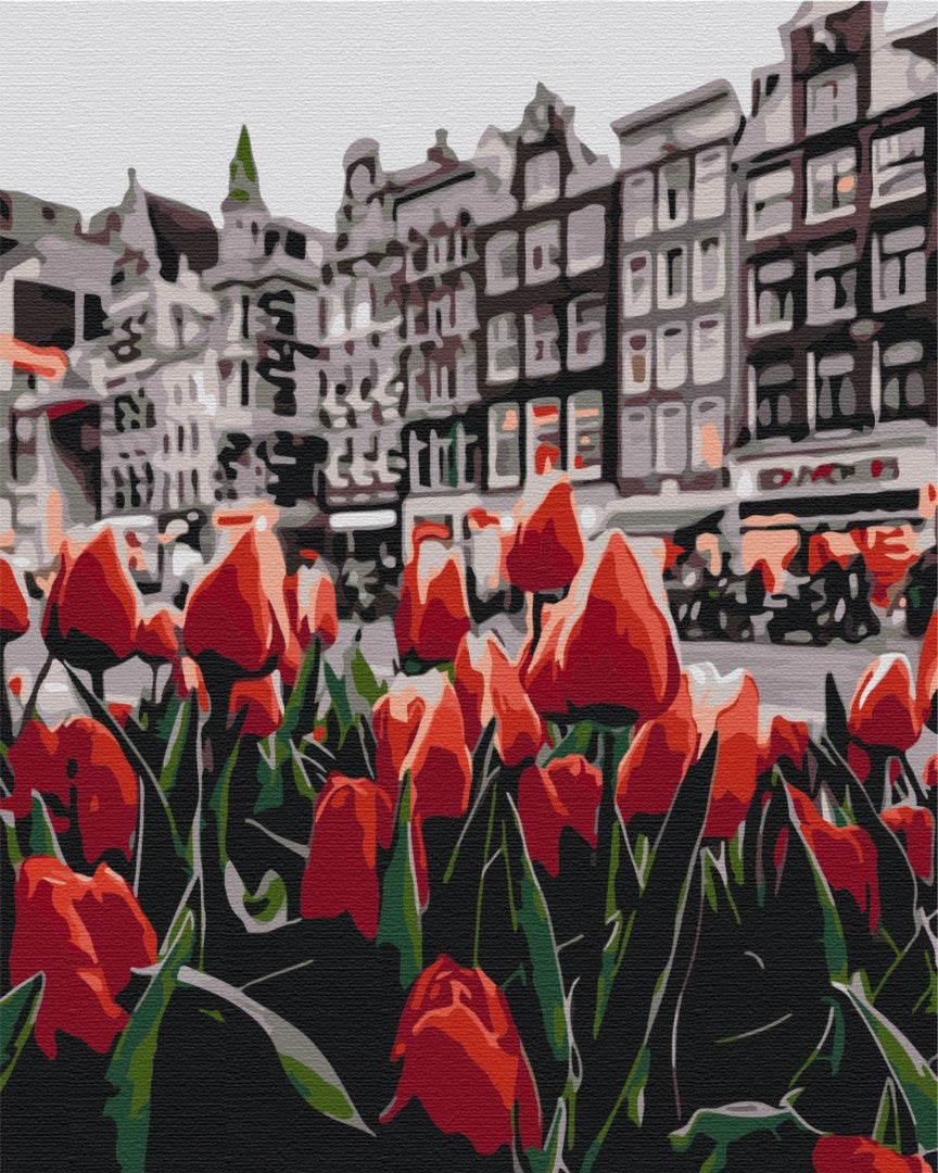 Tulipes Amsterdam - Peinture par numéro