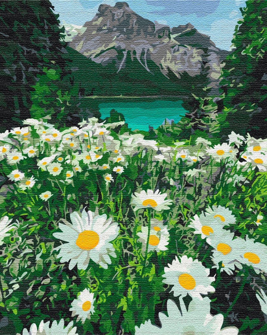 Marguerites par les montagnes - Peinture par numéro