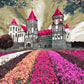 Château en fleurs - Peinture par numéro