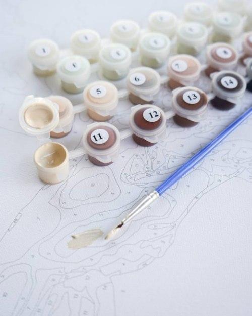 La beauté du Nouvel An - Peinture par numéro