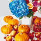 Nature morte de citrouille - Peinture par numéro