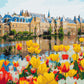 Palais en tulipes - Peinture par numéro