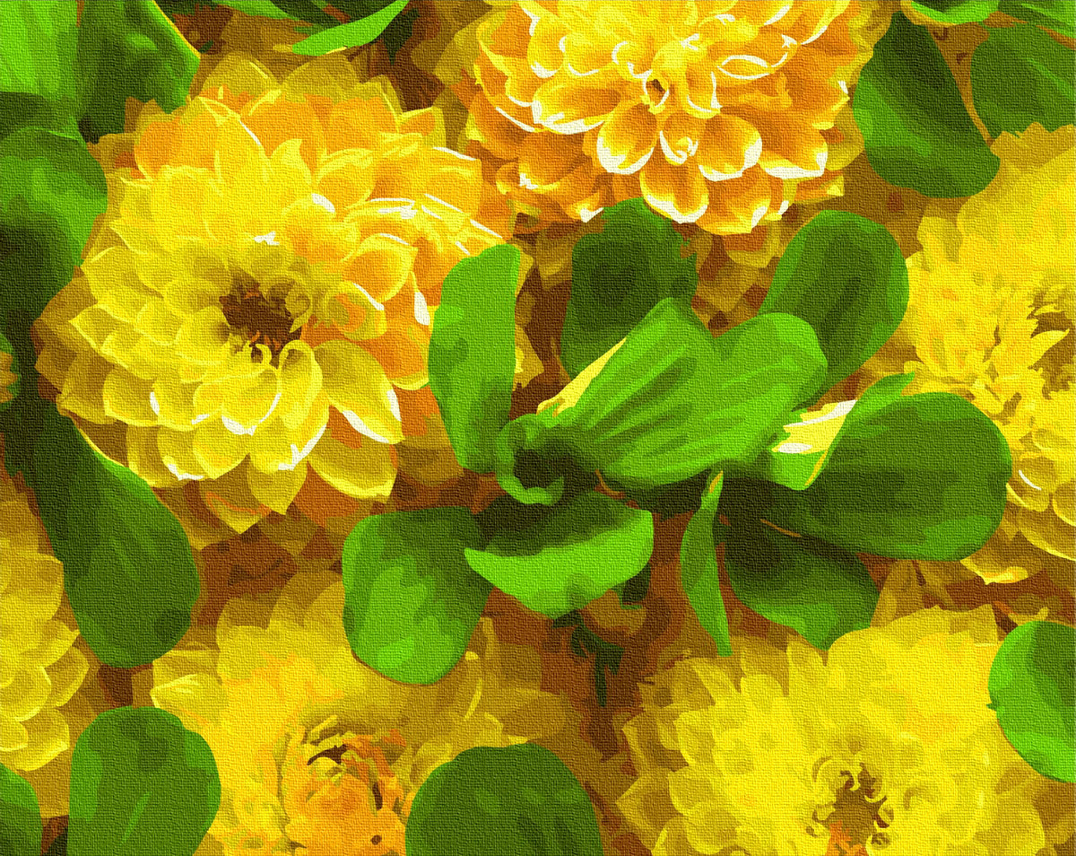 Pivoines brillantes - Peinture par numéro
