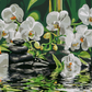 Calme près des orchidées - Peinture par numéro