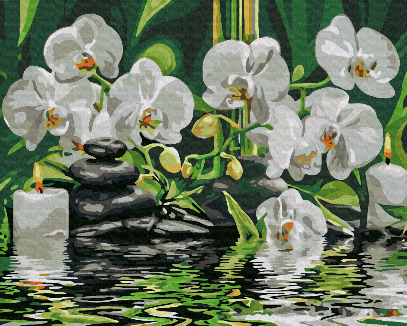 Calme près des orchidées - Peinture par numéro