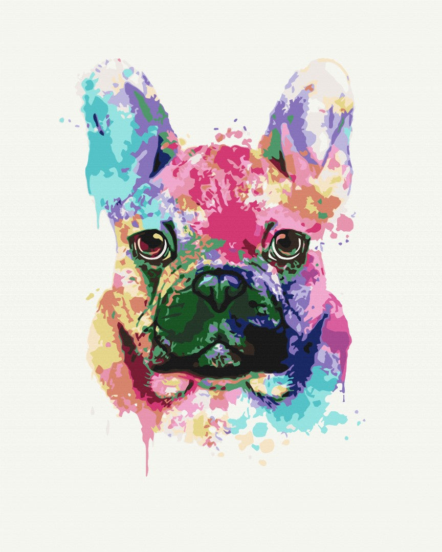 Bouledogue coloré - Peinture par numéro