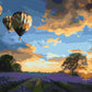 Vol de coucher - Peinture par numéro