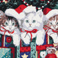 Chats de Noël - Peinture par numéro