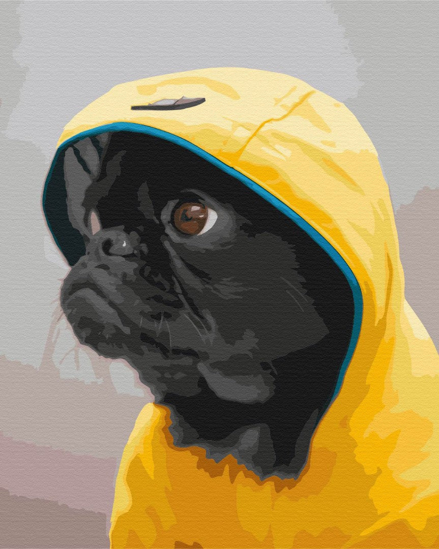 Carlin dans le capot - Peinture par numéro