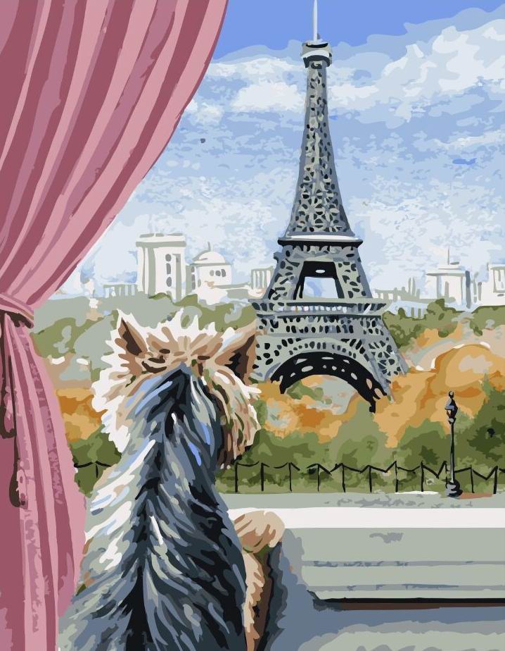 Paris de la fenêtre - Peinture par numéro
