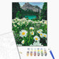 Marguerites par les montagnes - Peinture par numéro