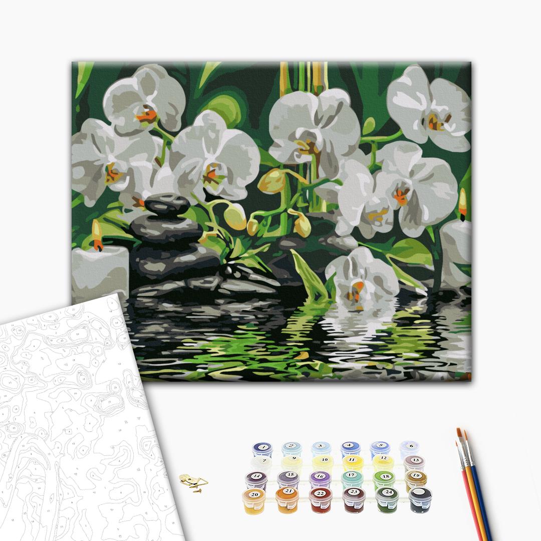 Calme près des orchidées - Peinture par numéro