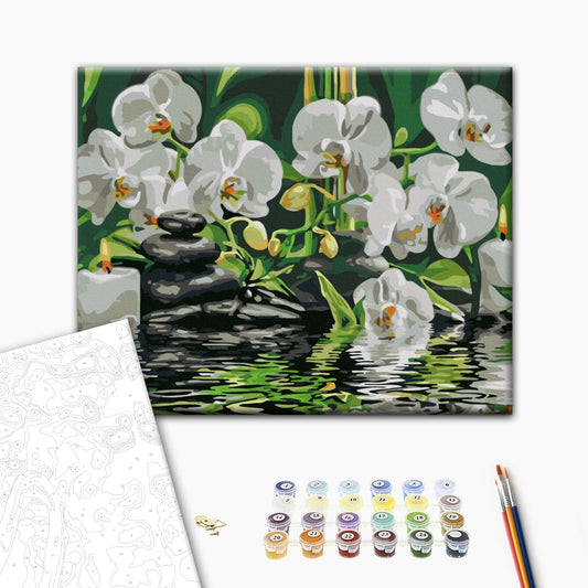 Calme près des orchidées - Peinture par numéro