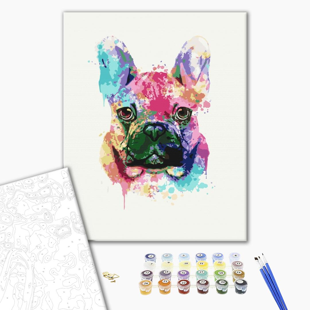 Bouledogue coloré - Peinture par numéro