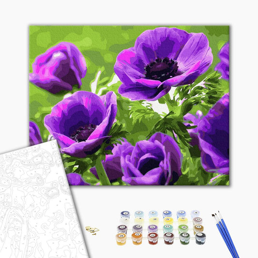 Coquelicots violets - Peinture par numéro