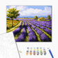 Champs de lavande - Peinture par numéro