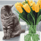 Chat avec des tulipes - Peinture par numéro