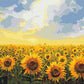 Champ de tournesol - Peinture par numéro