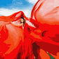 Femme en rouge - Peinture par numéro
