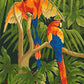 Oiseaux tropicaux - Peinture par numéro