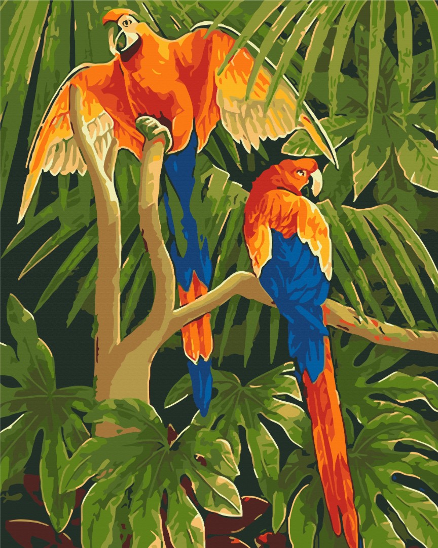 Oiseaux tropicaux - Peinture par numéro