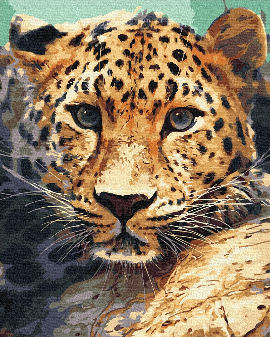 Portrait léopard - Peinture par numéro