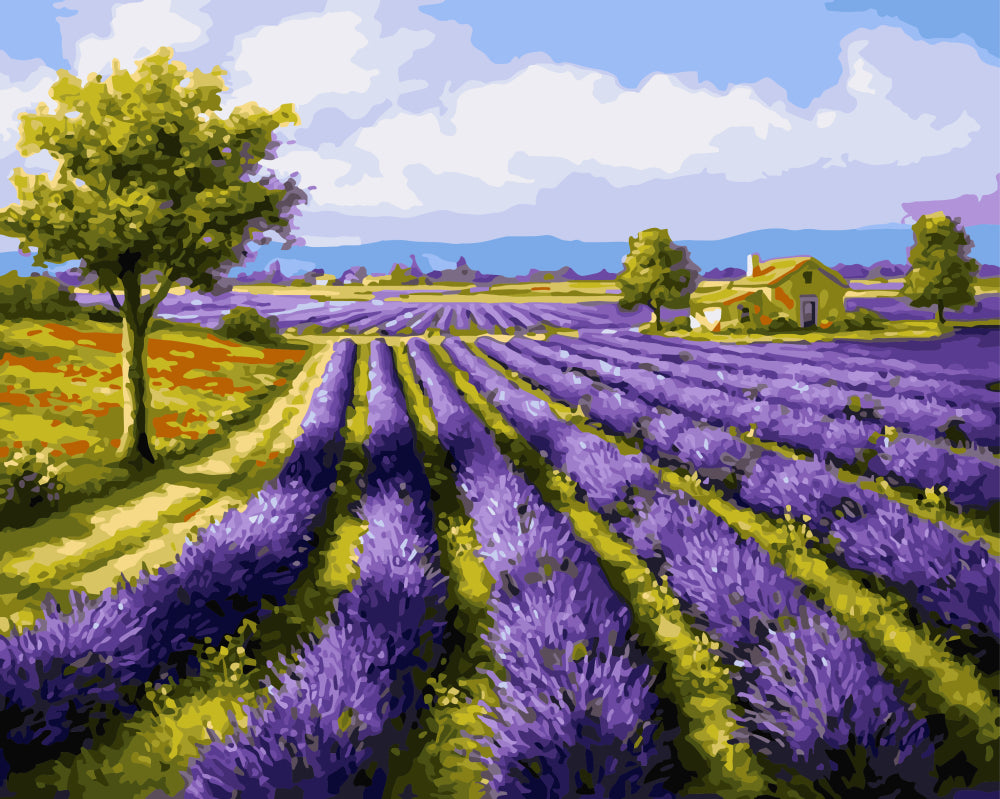 Champs de lavande - Peinture par numéro