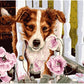 Chien en coquelicots - Peinture par numéro