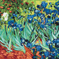 Iris. Van Gogh - Peinture par numéro